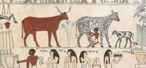 domesticación animales Egipto