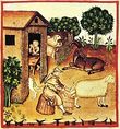 Tacuinum Sanitatis ordeño y elaboración de queso en la Edad Media