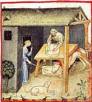 Tacuinum Sanitatis imagen queso en la Edad Media