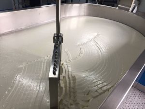 leche-en-tanque-antes-de-hacer-queso