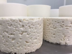 quesos blancos recién sacados de los moldes