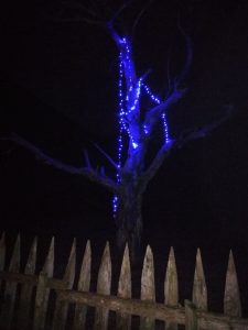 quesería El Cabriteru árbol azul Asturias